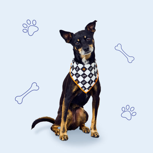 Dogust Bandana